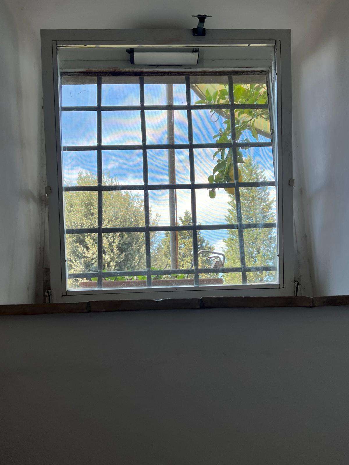 - foto 16