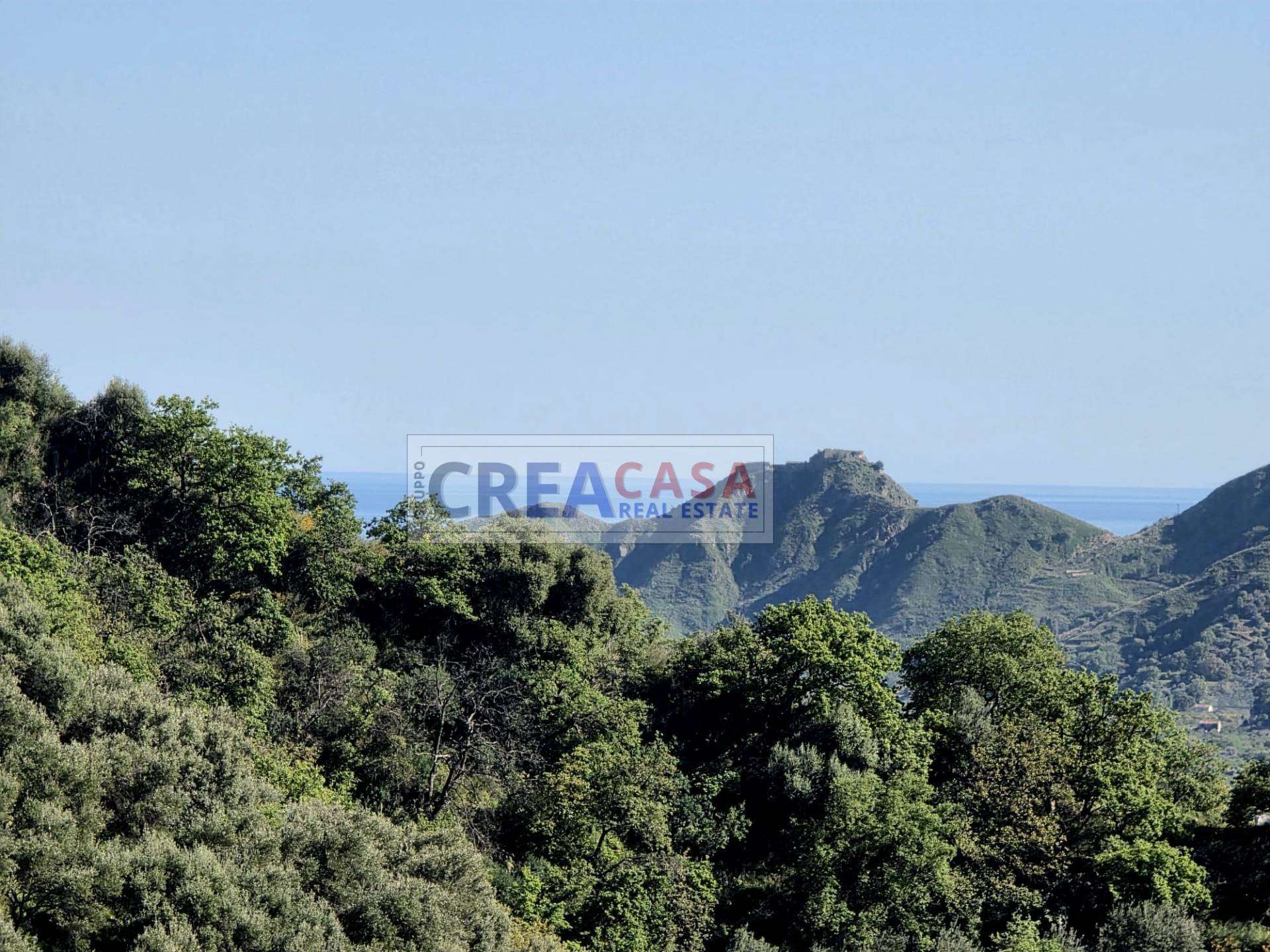  - foto 49