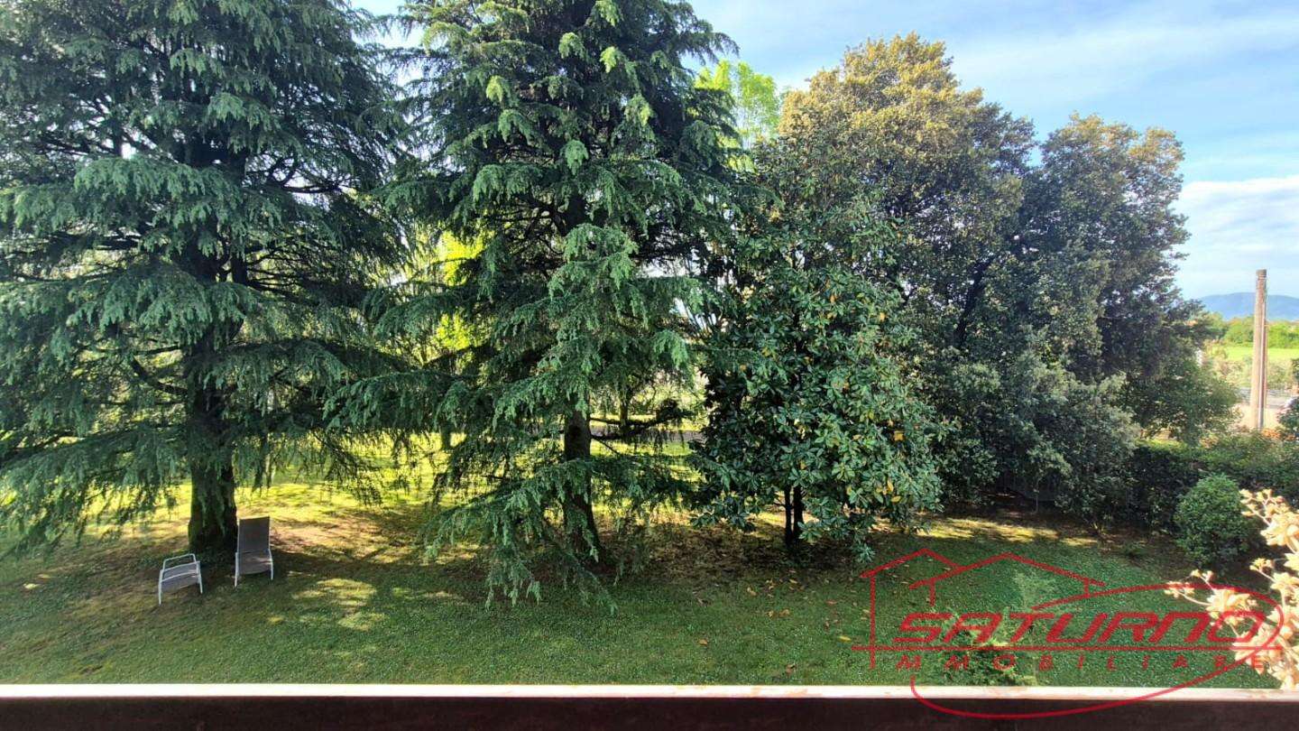  - foto 27