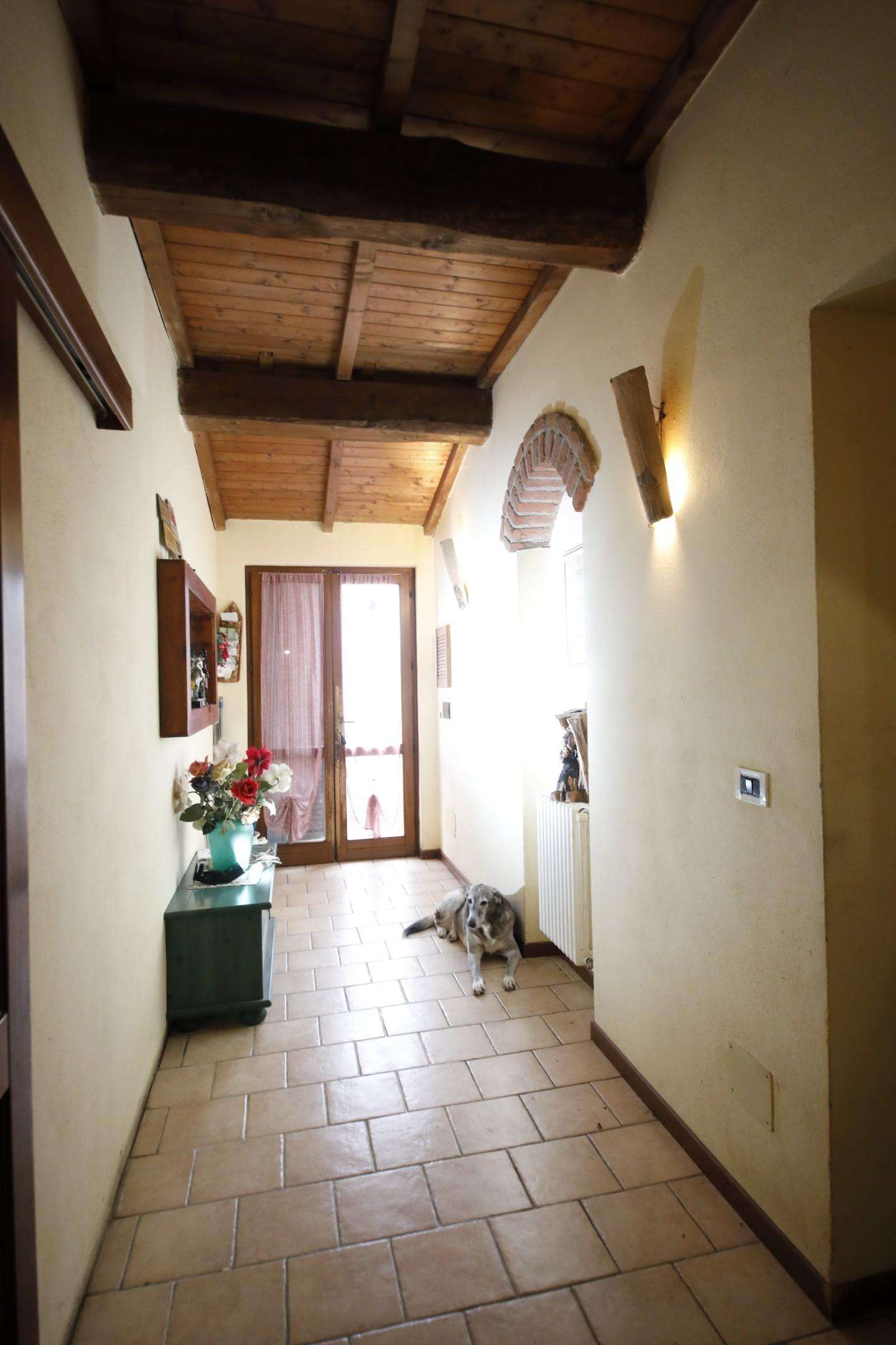  - foto 23