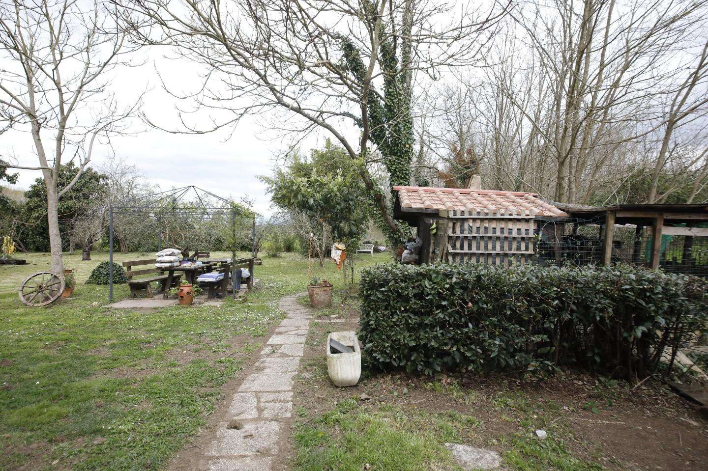  - foto 36