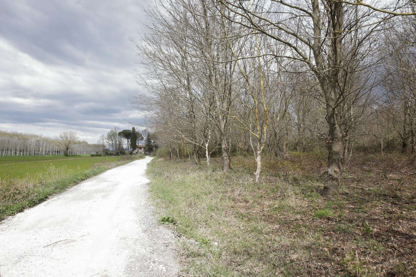  - foto 41
