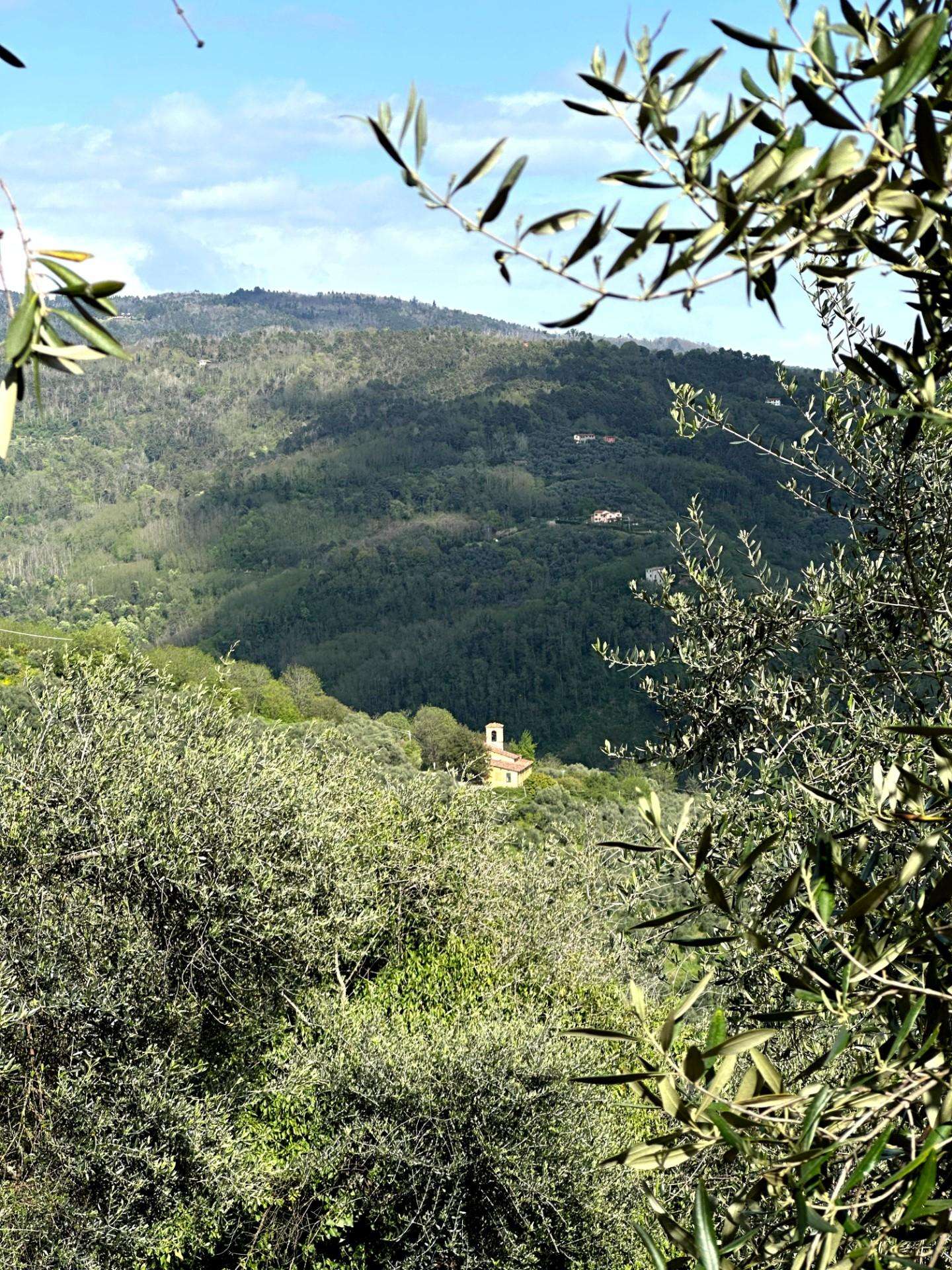  - foto 33