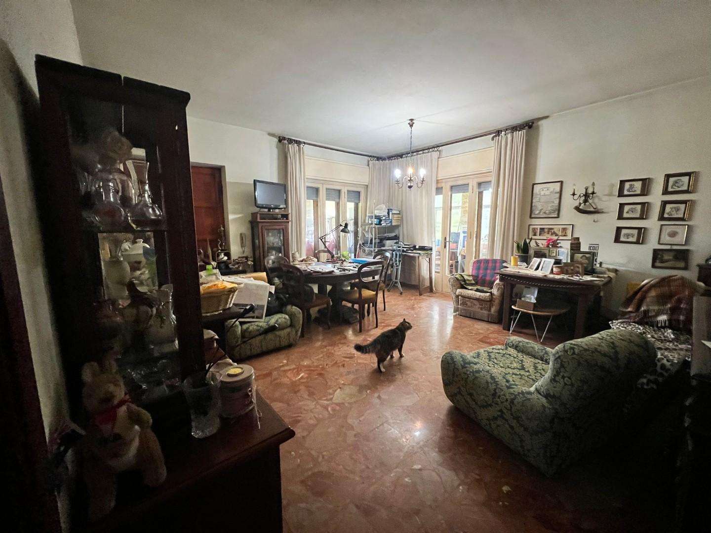  - foto 10