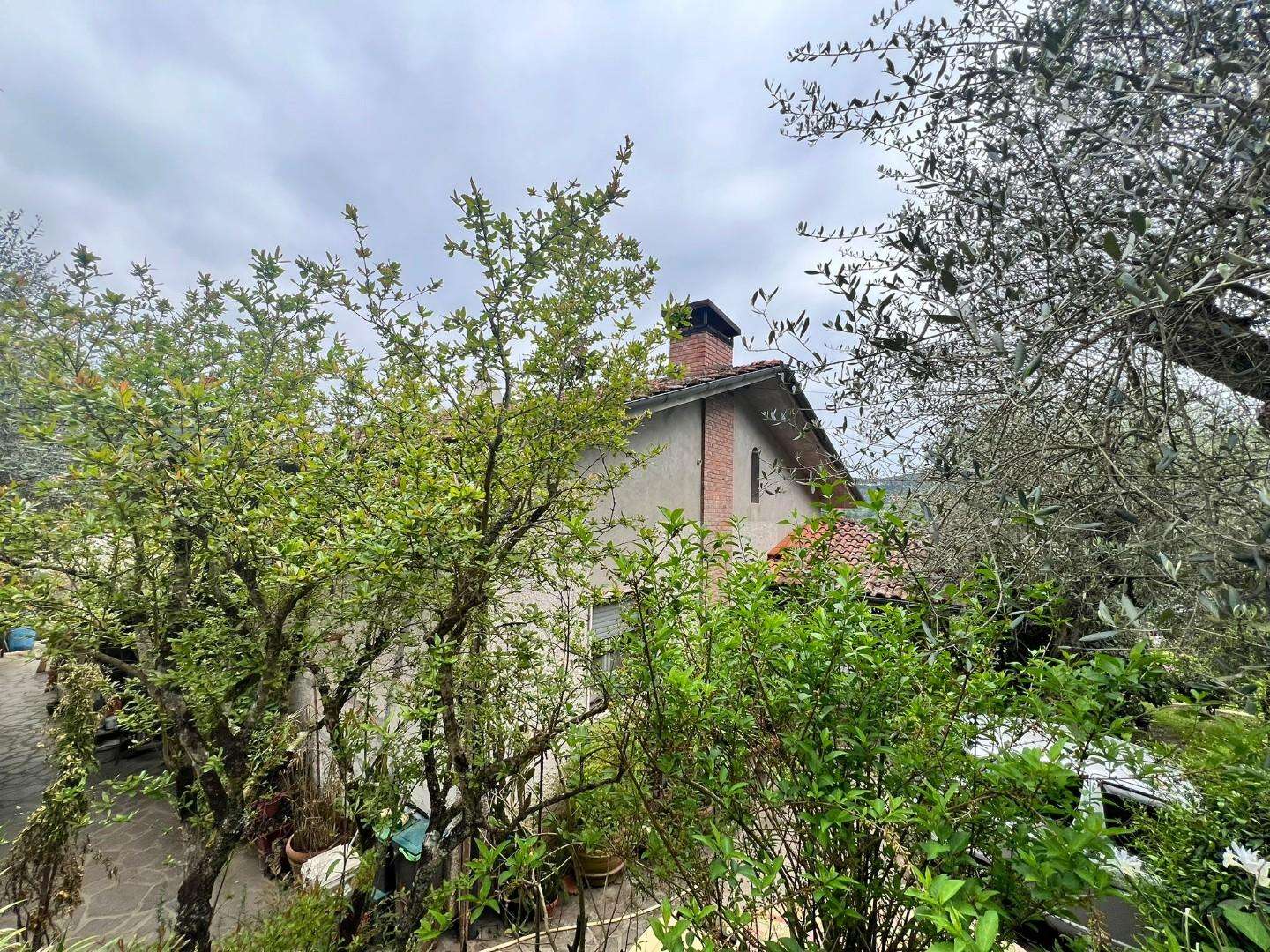 - foto 20