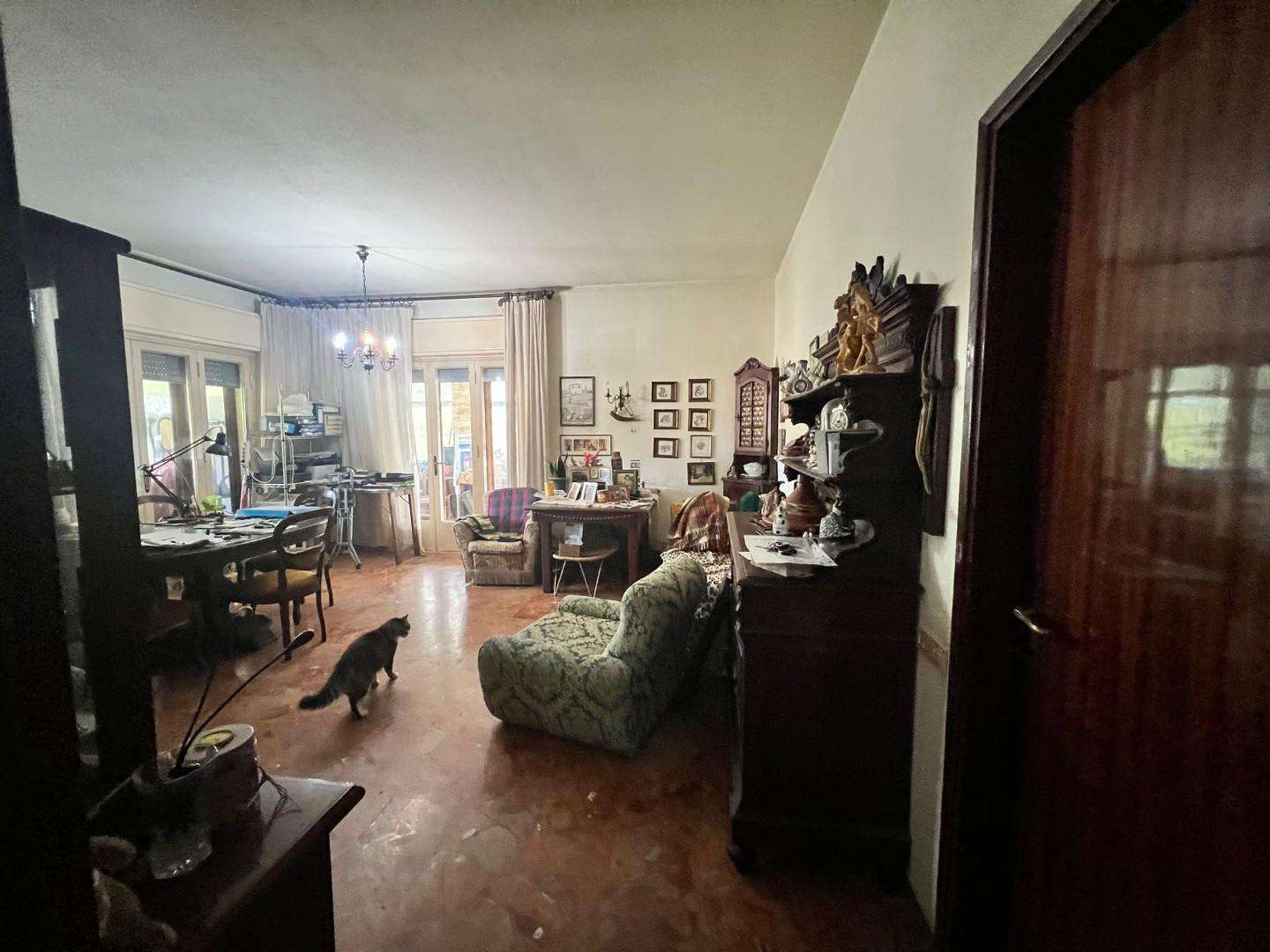  - foto 5