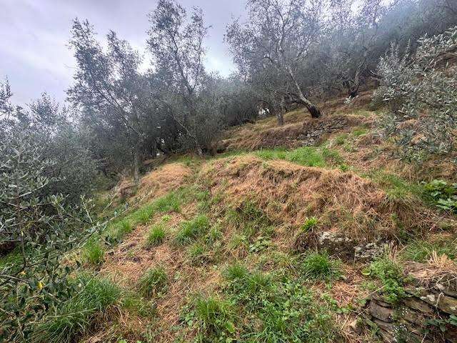  - foto 4