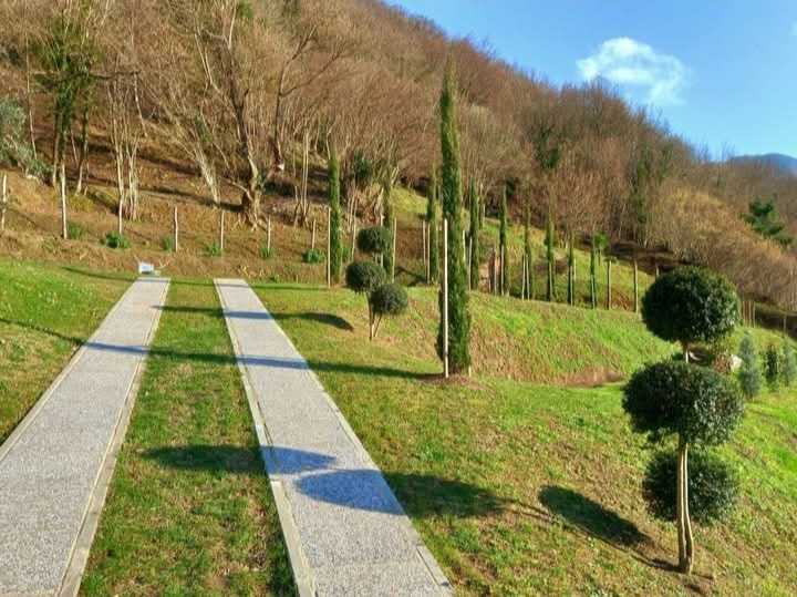  - foto 5