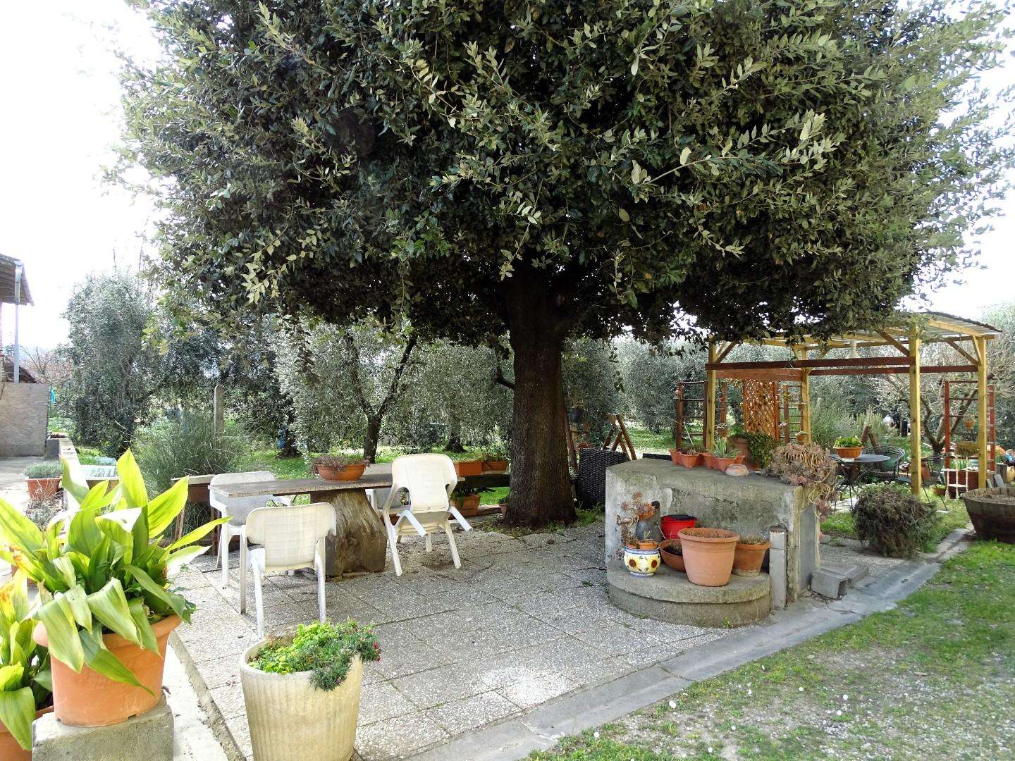  - foto 23