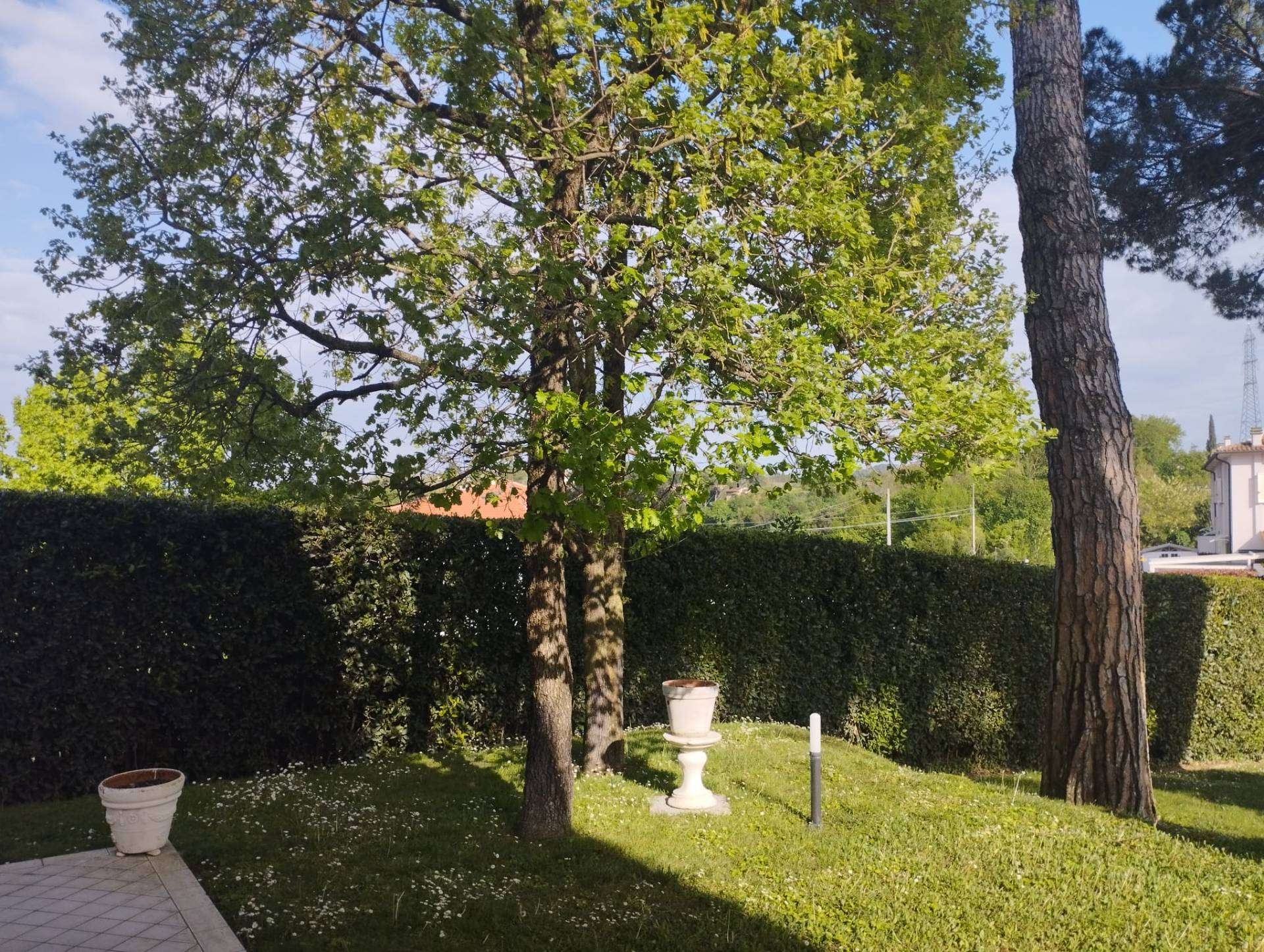  - foto 59