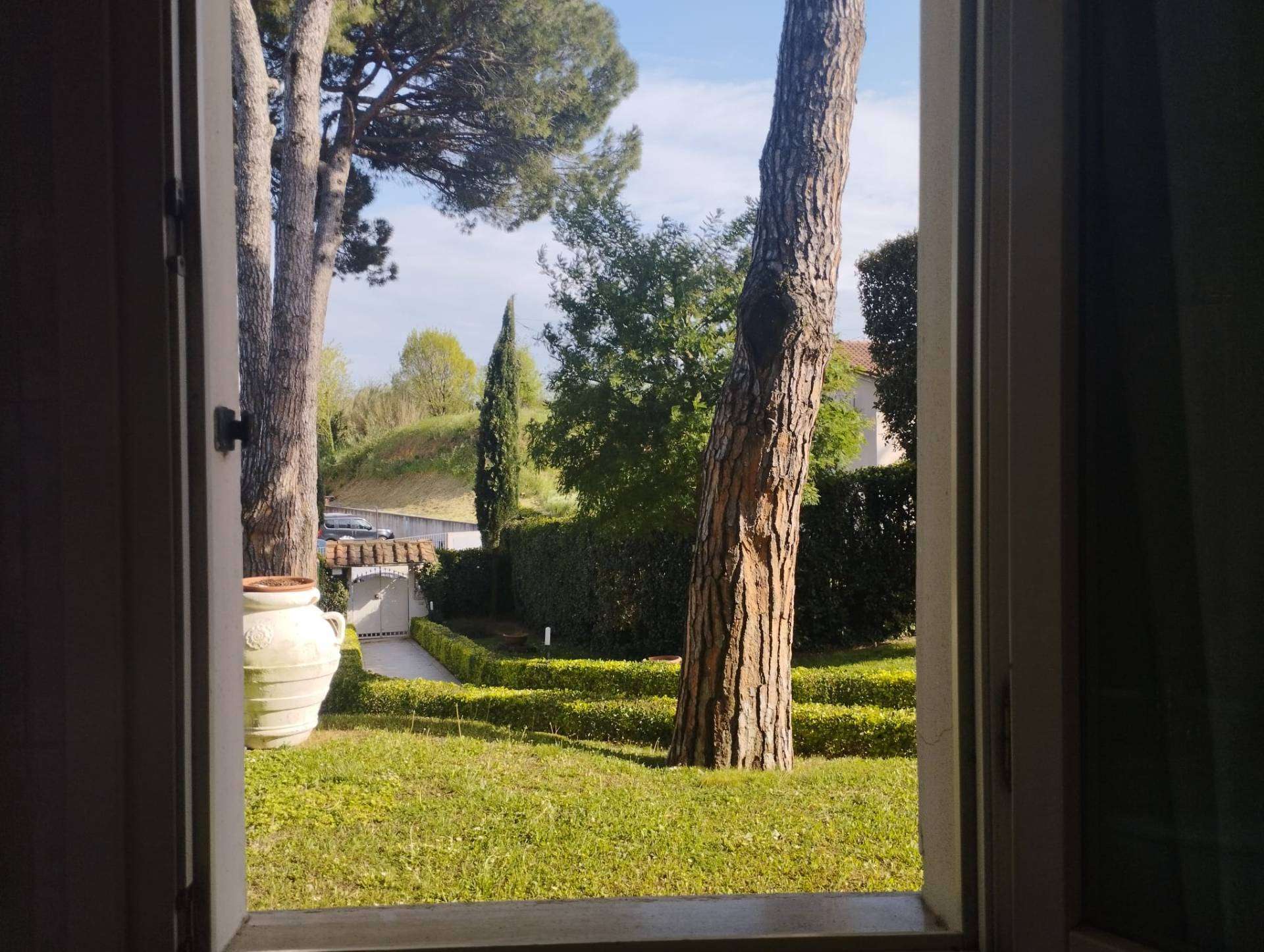  - foto 62