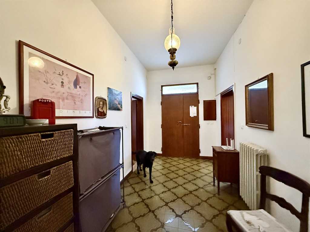  - foto 13