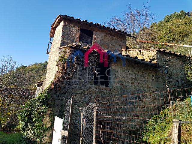 Rustico, Bagni di Lucca