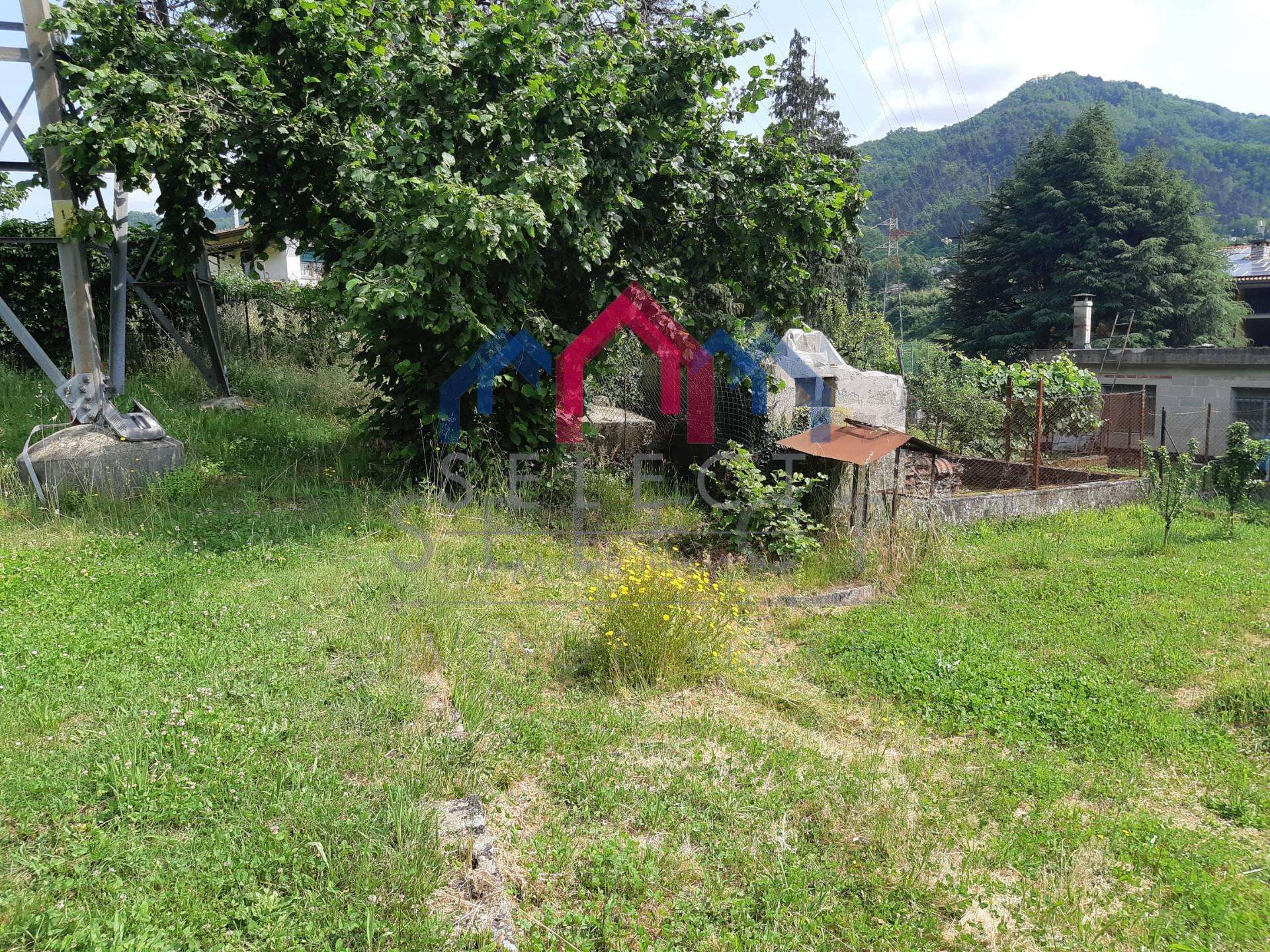  - foto 58