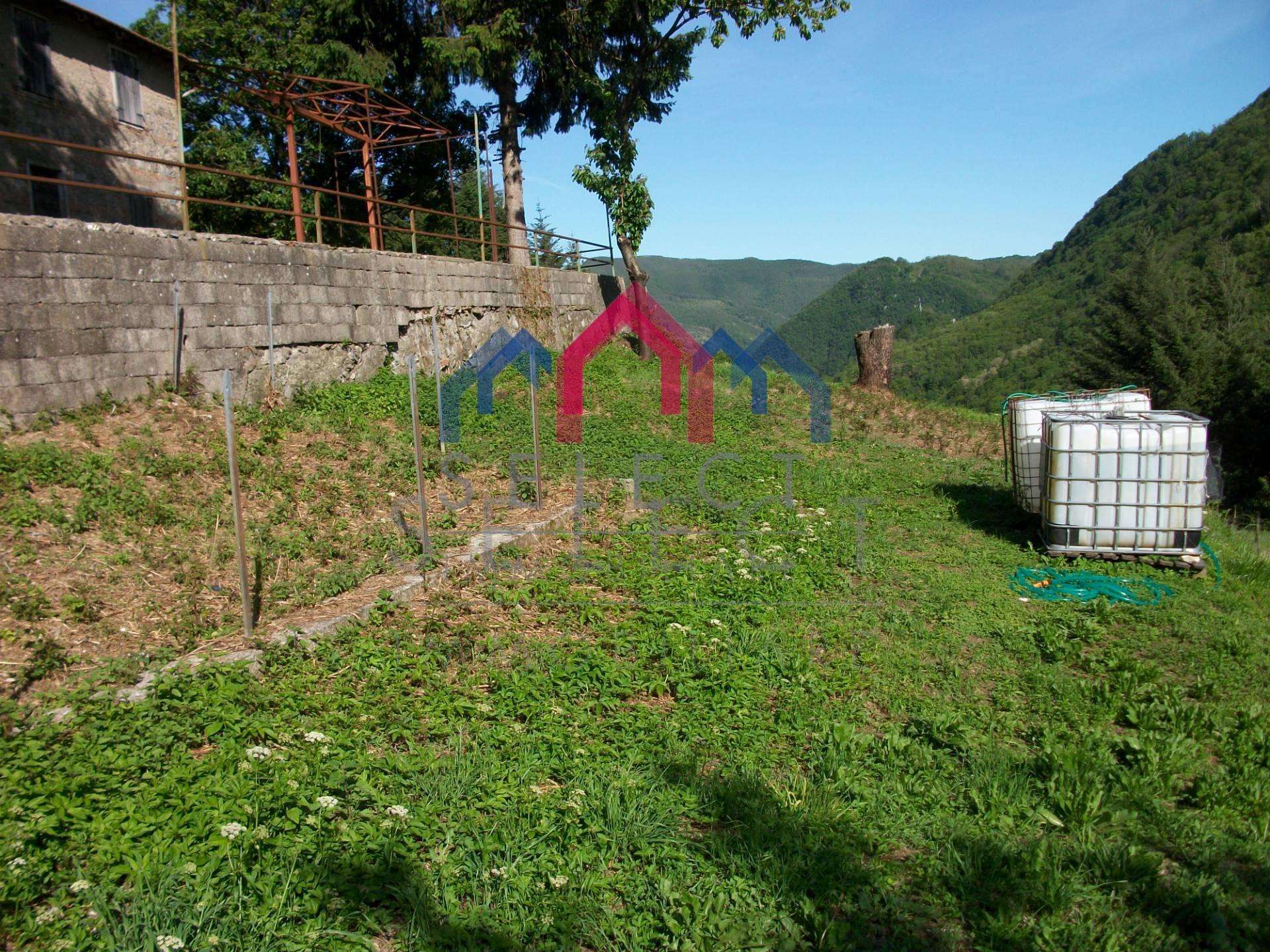  - foto 12