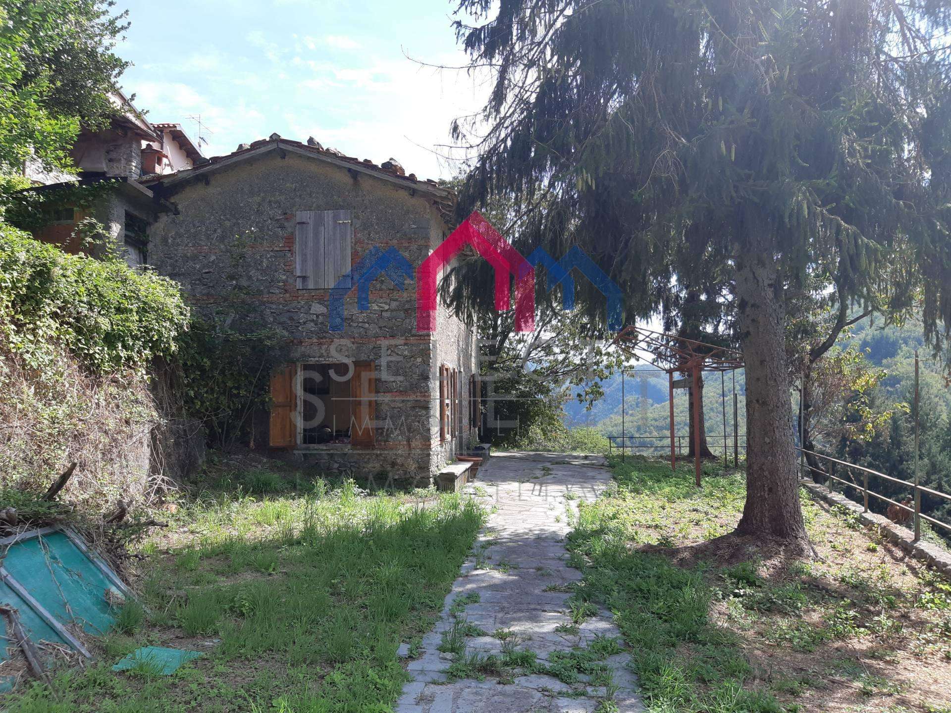  - foto 46