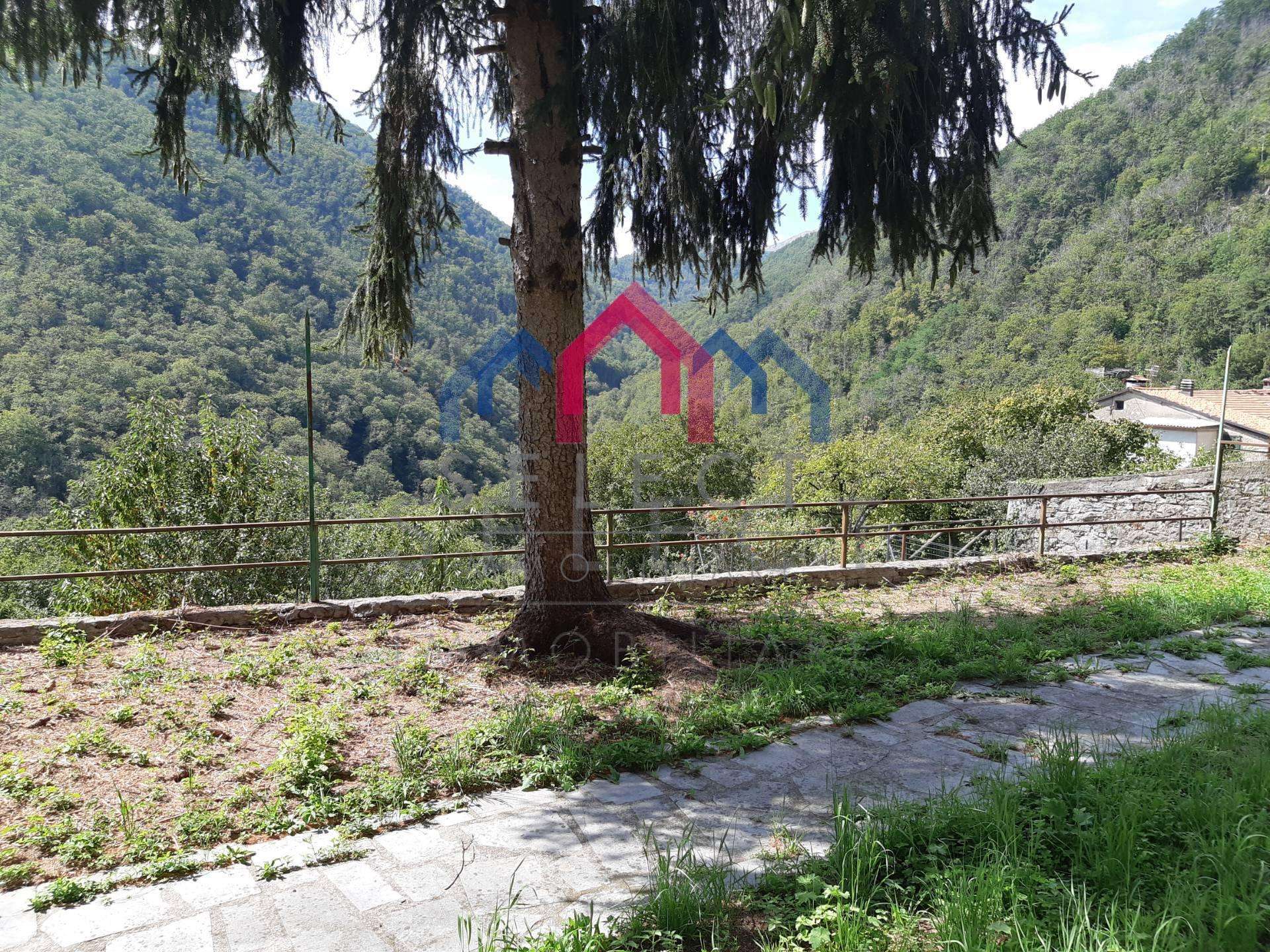  - foto 50