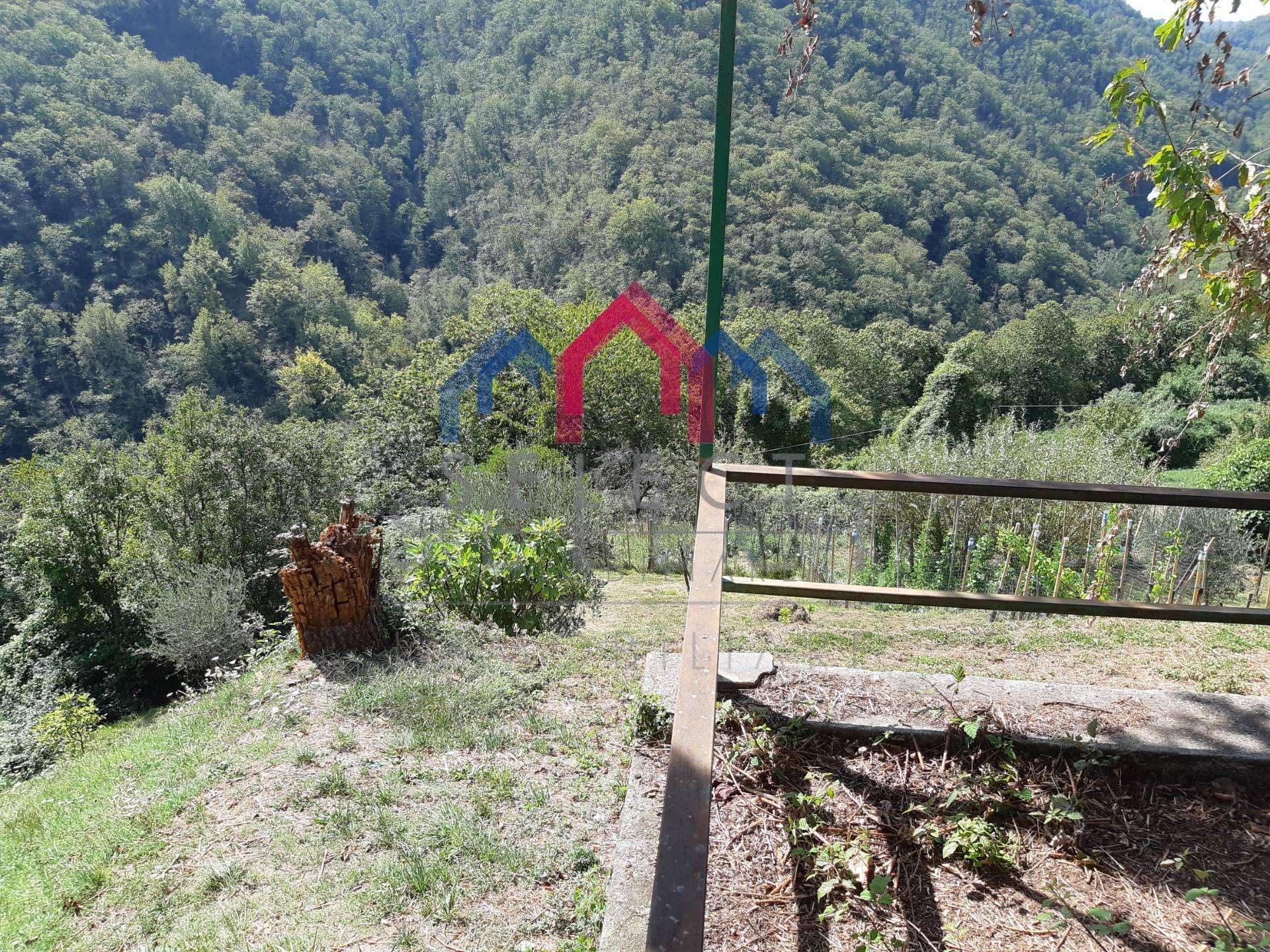  - foto 67