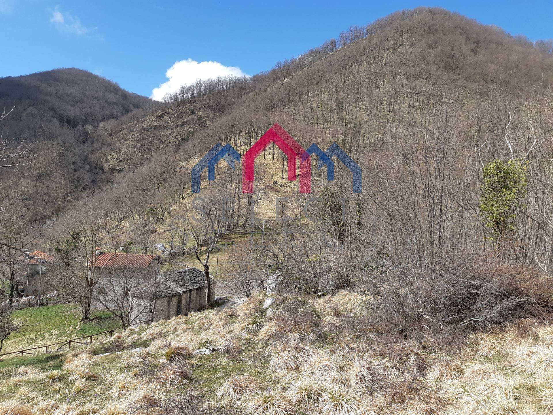  - foto 57