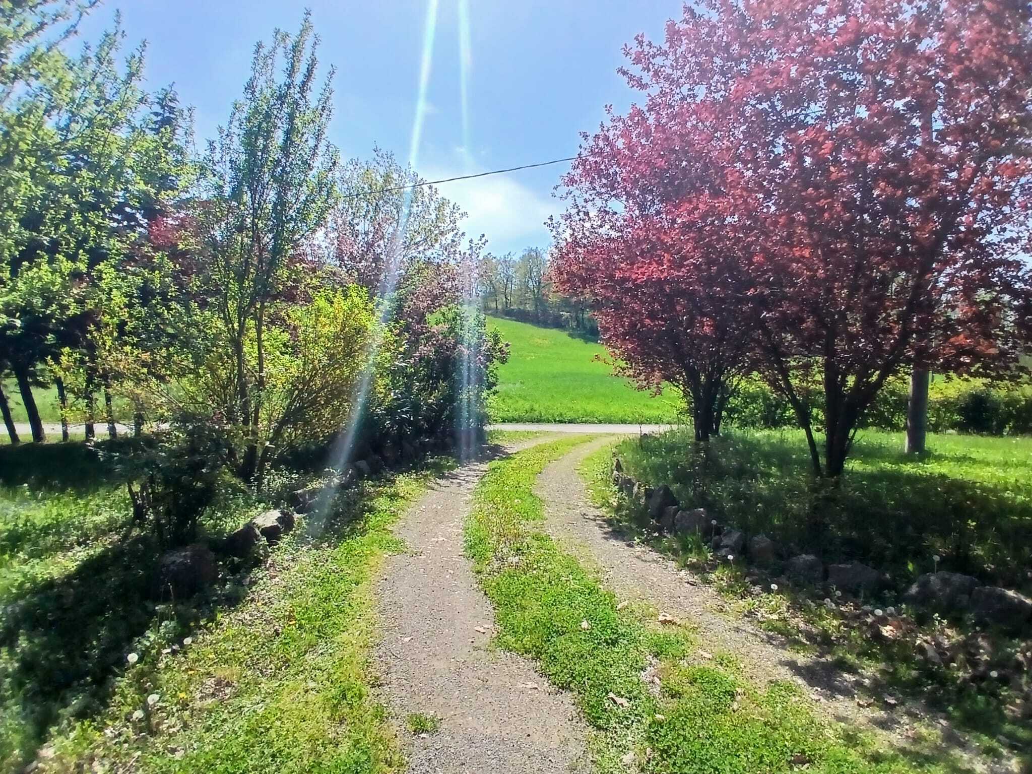  - foto 35