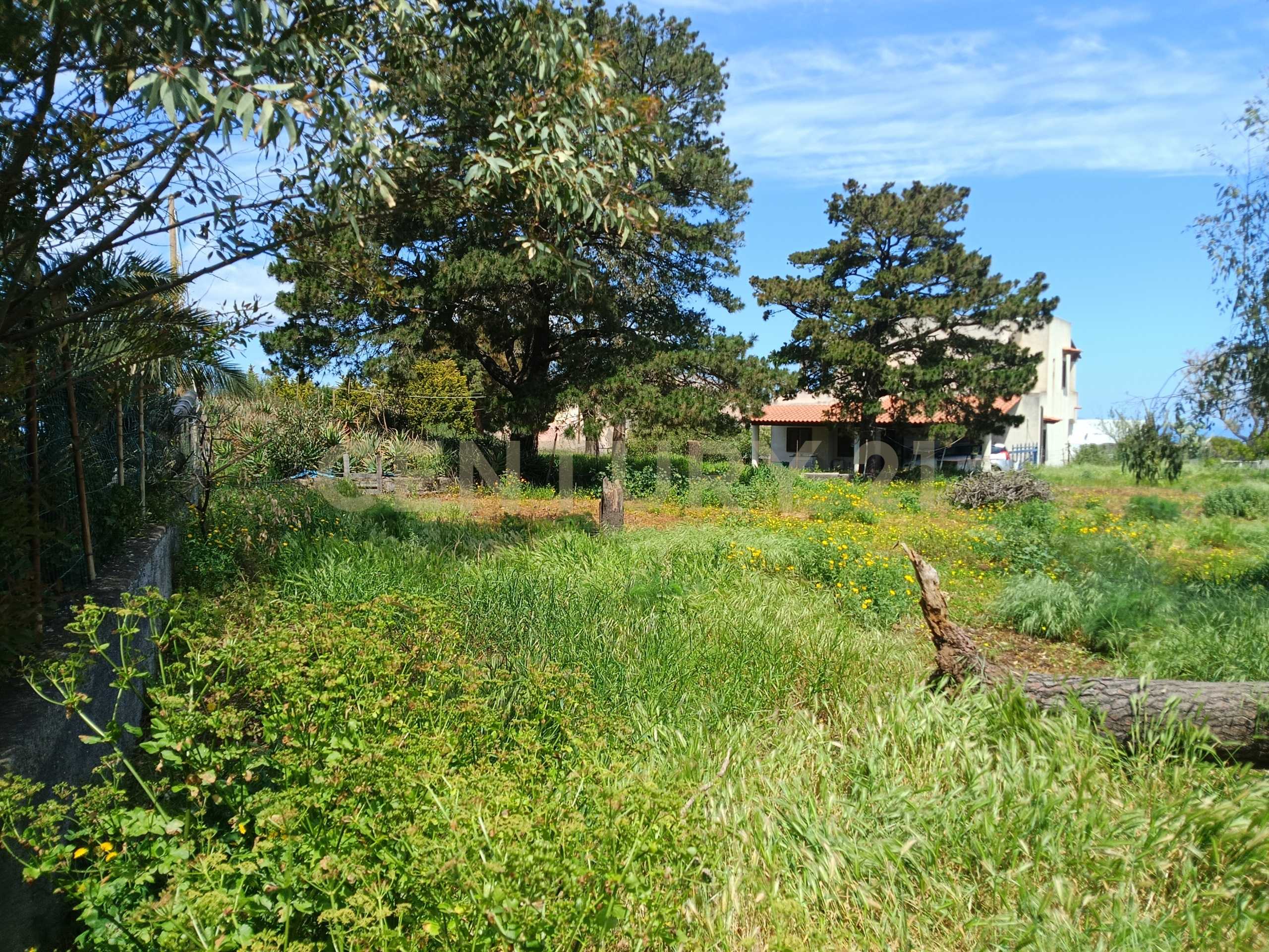  - foto 37