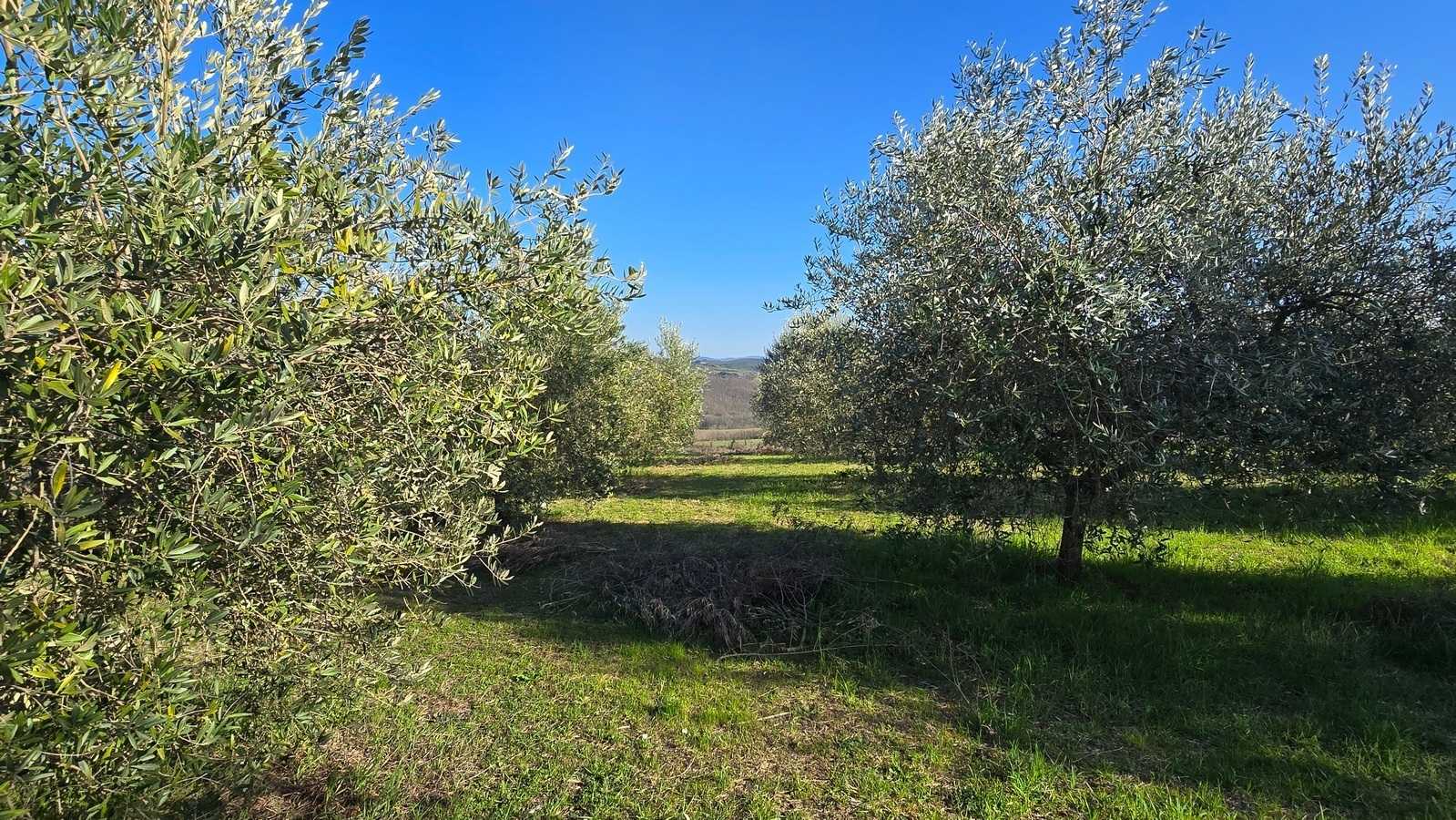  - foto 16