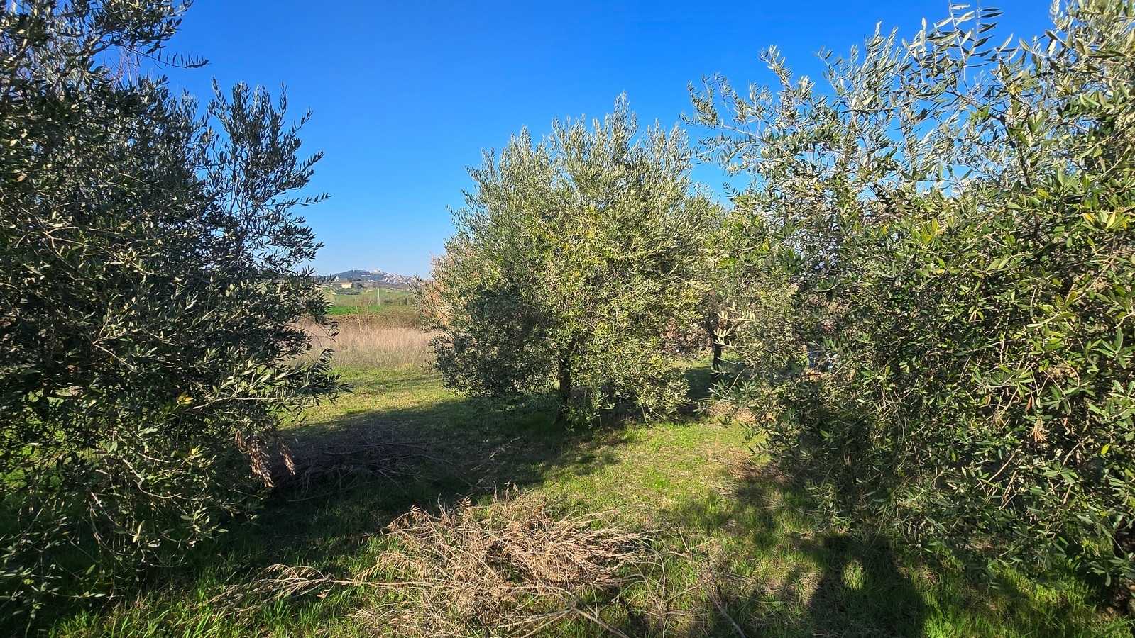  - foto 17