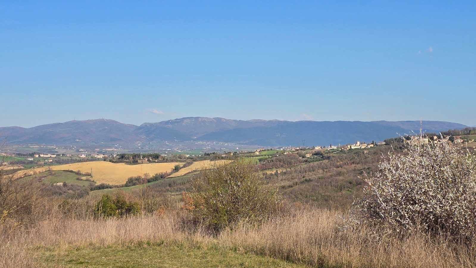  - foto 21