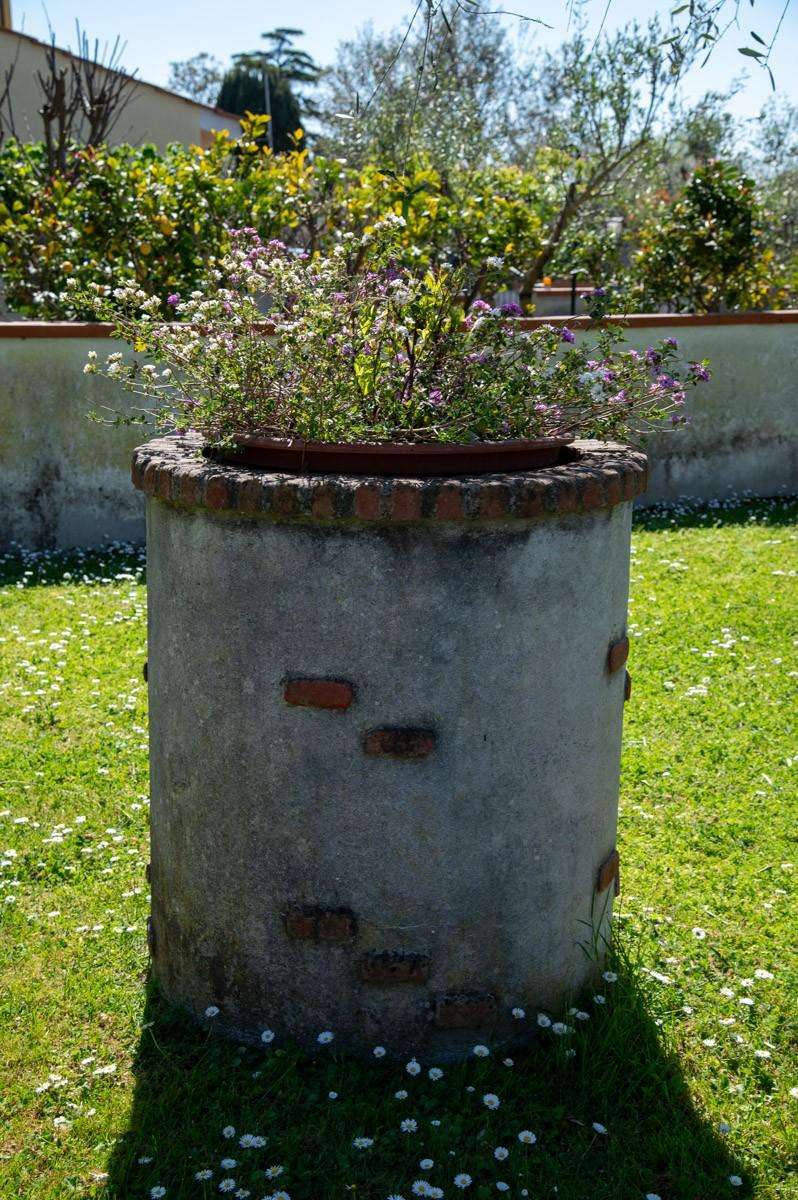  - foto 5