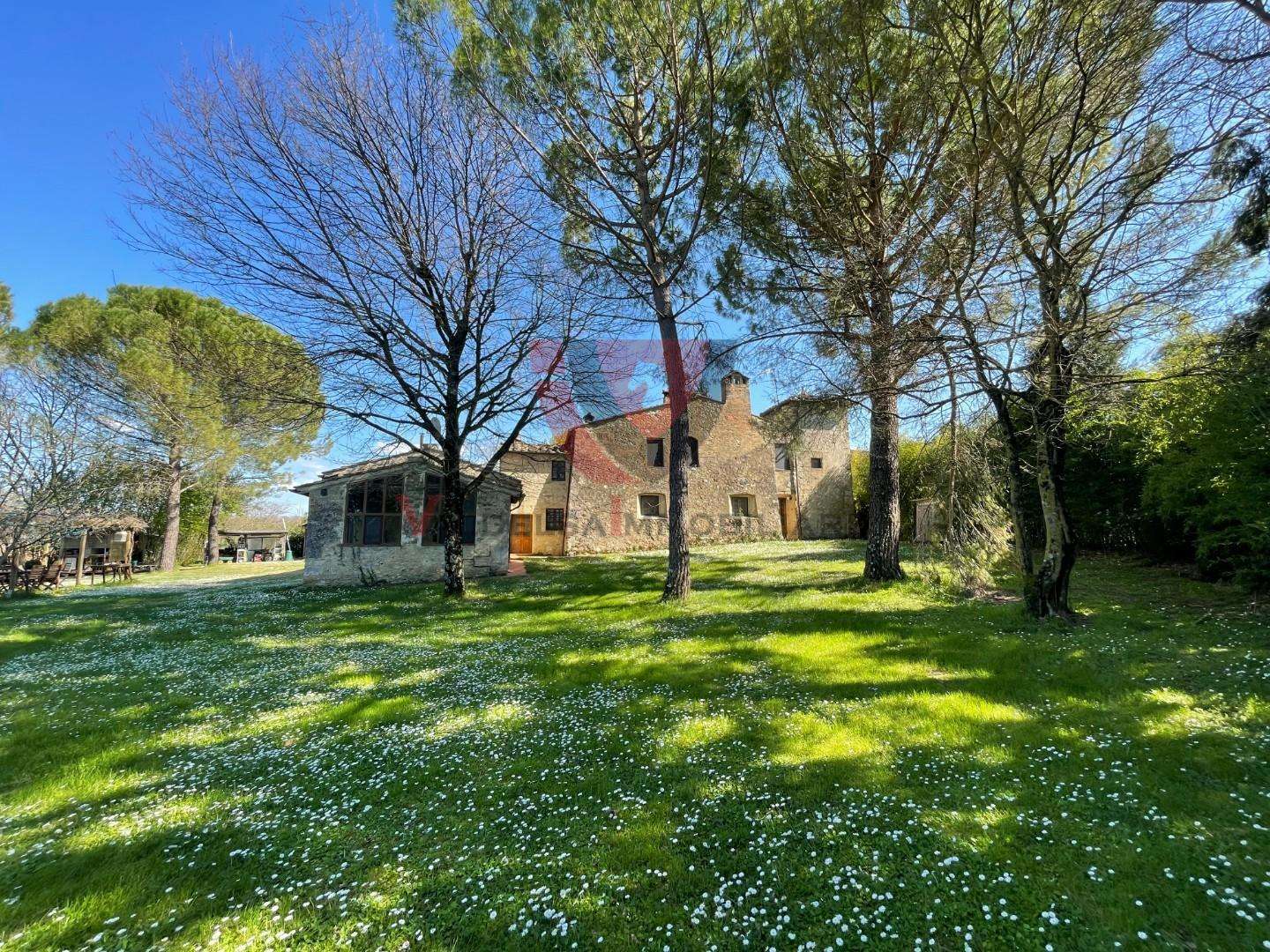  - foto 39
