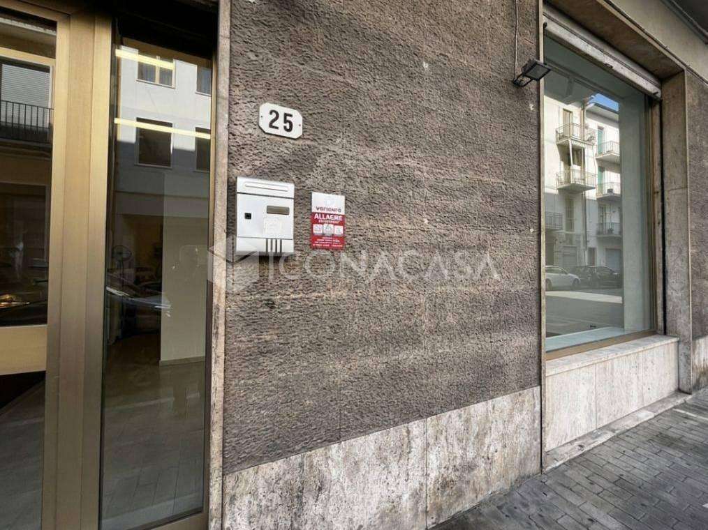  - foto 19