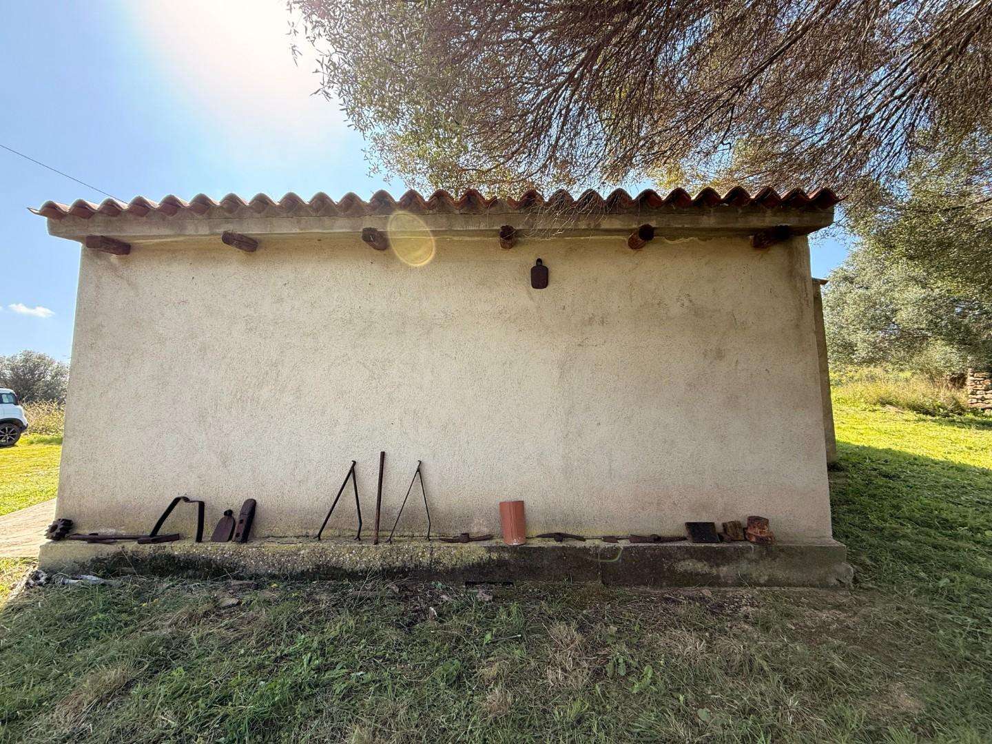  - foto 26