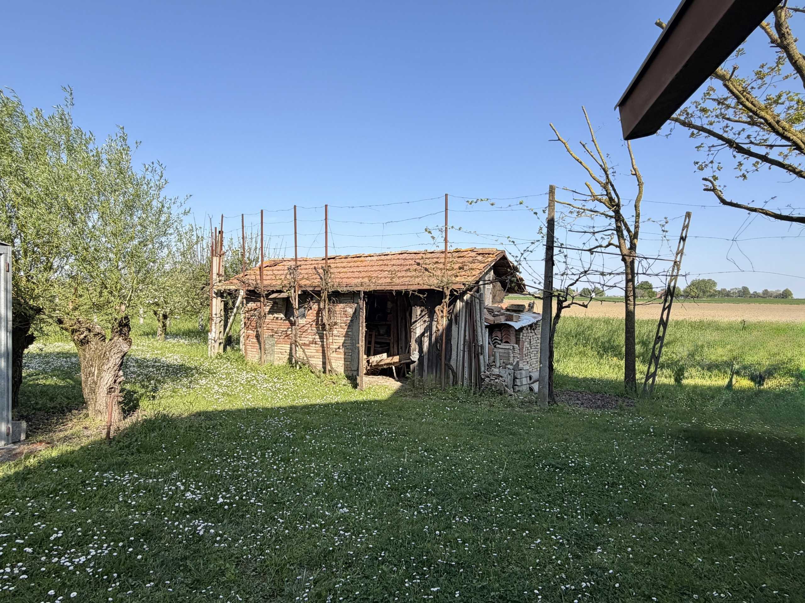  - foto 4