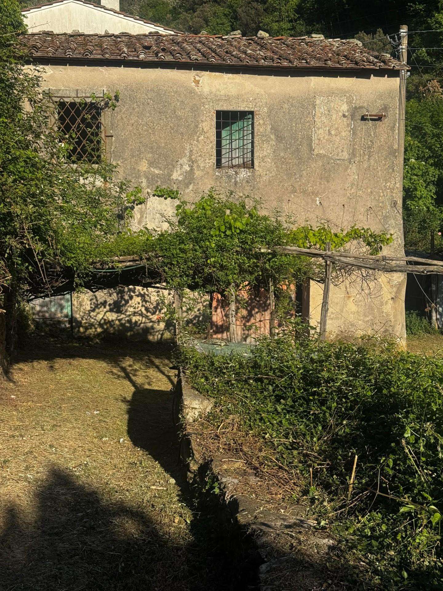  - foto 2