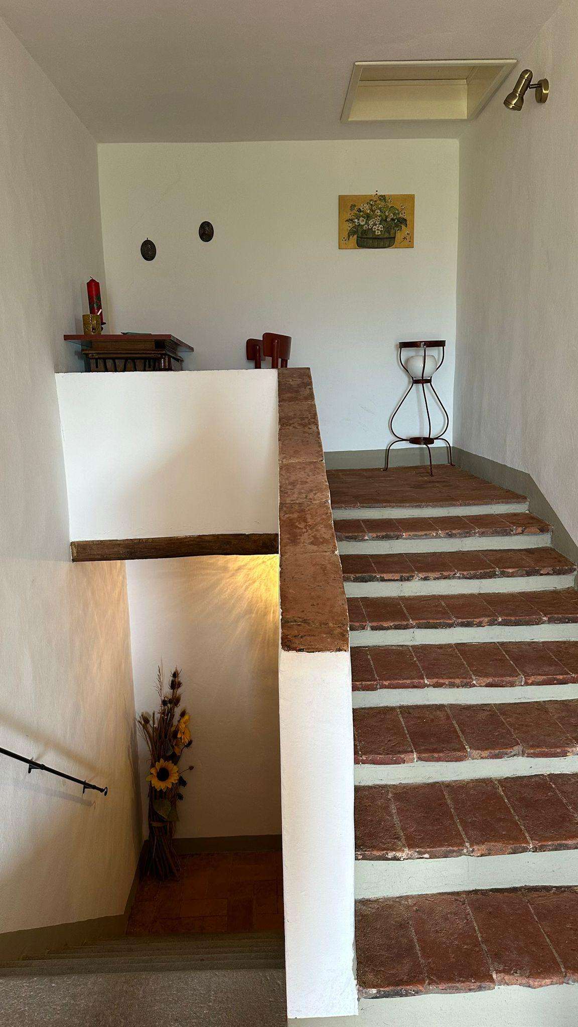  - foto 14