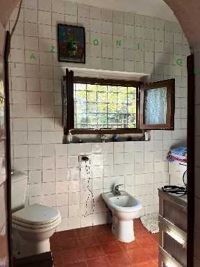  - foto 16