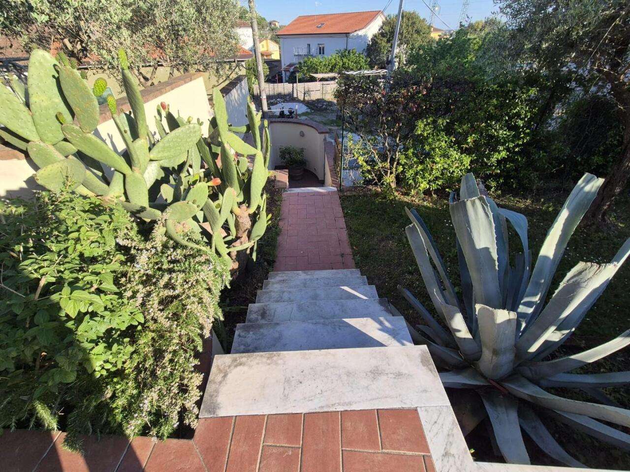  - foto 26