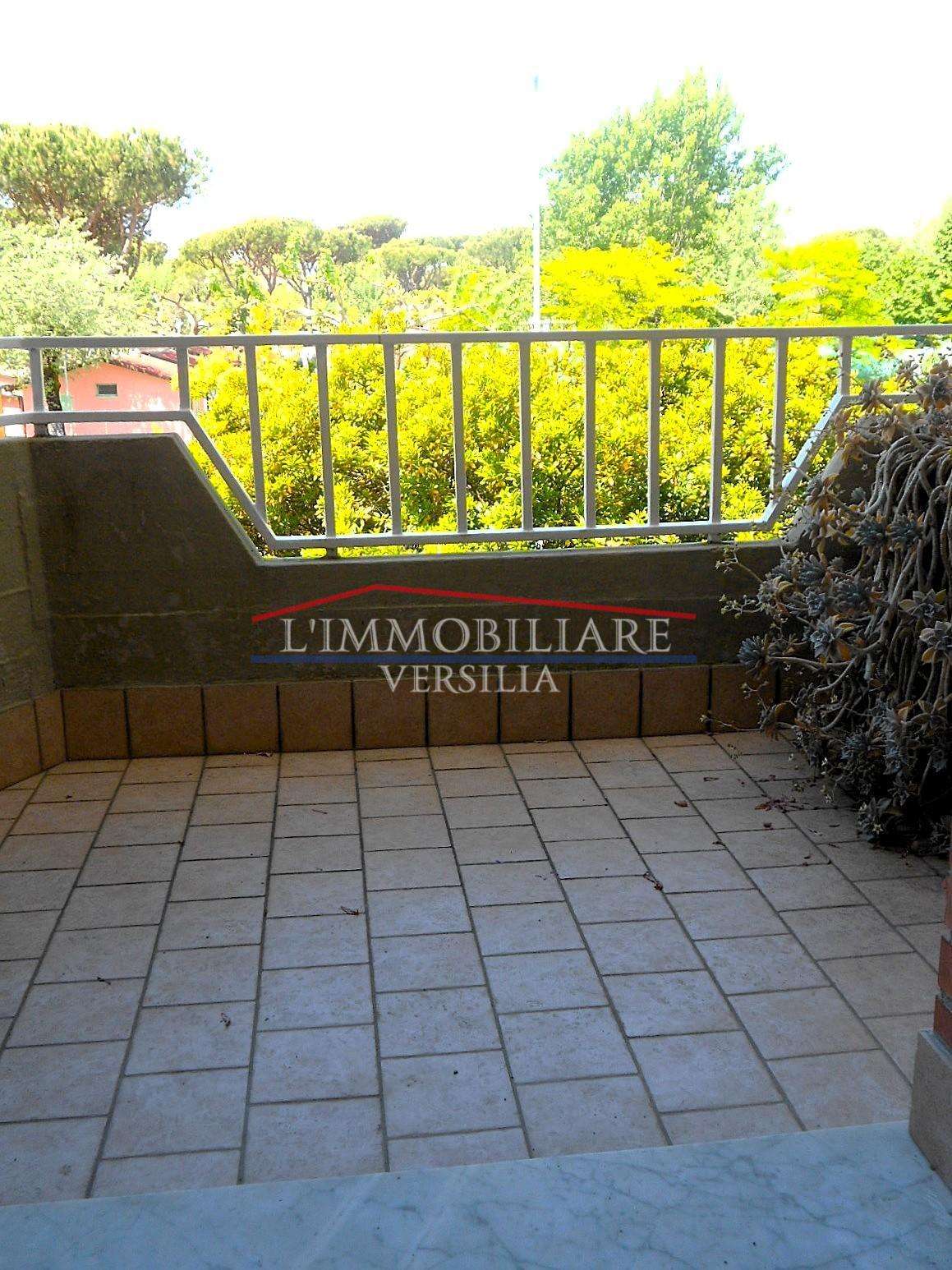  - foto 41