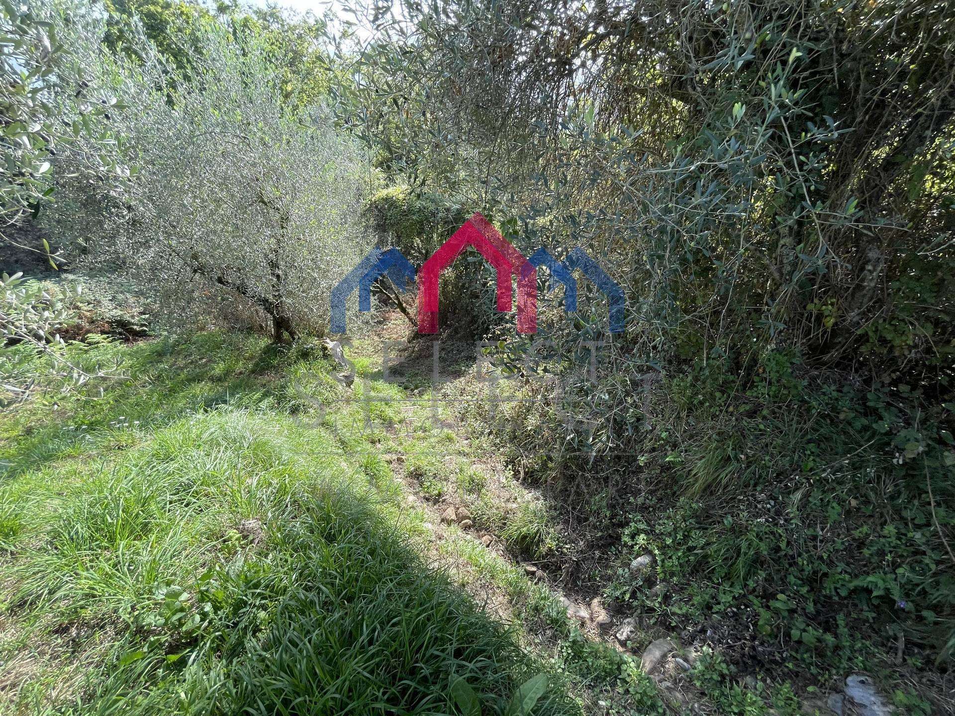  - foto 11