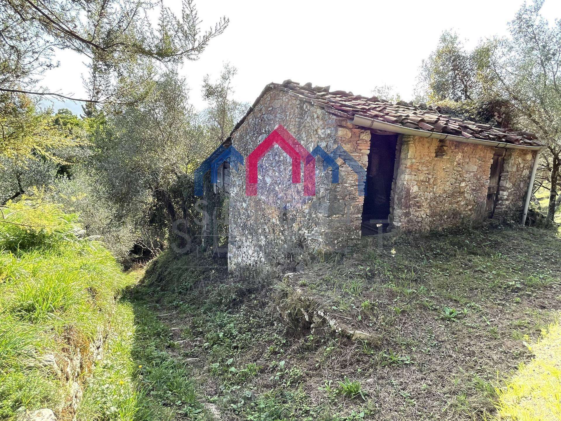  - foto 2