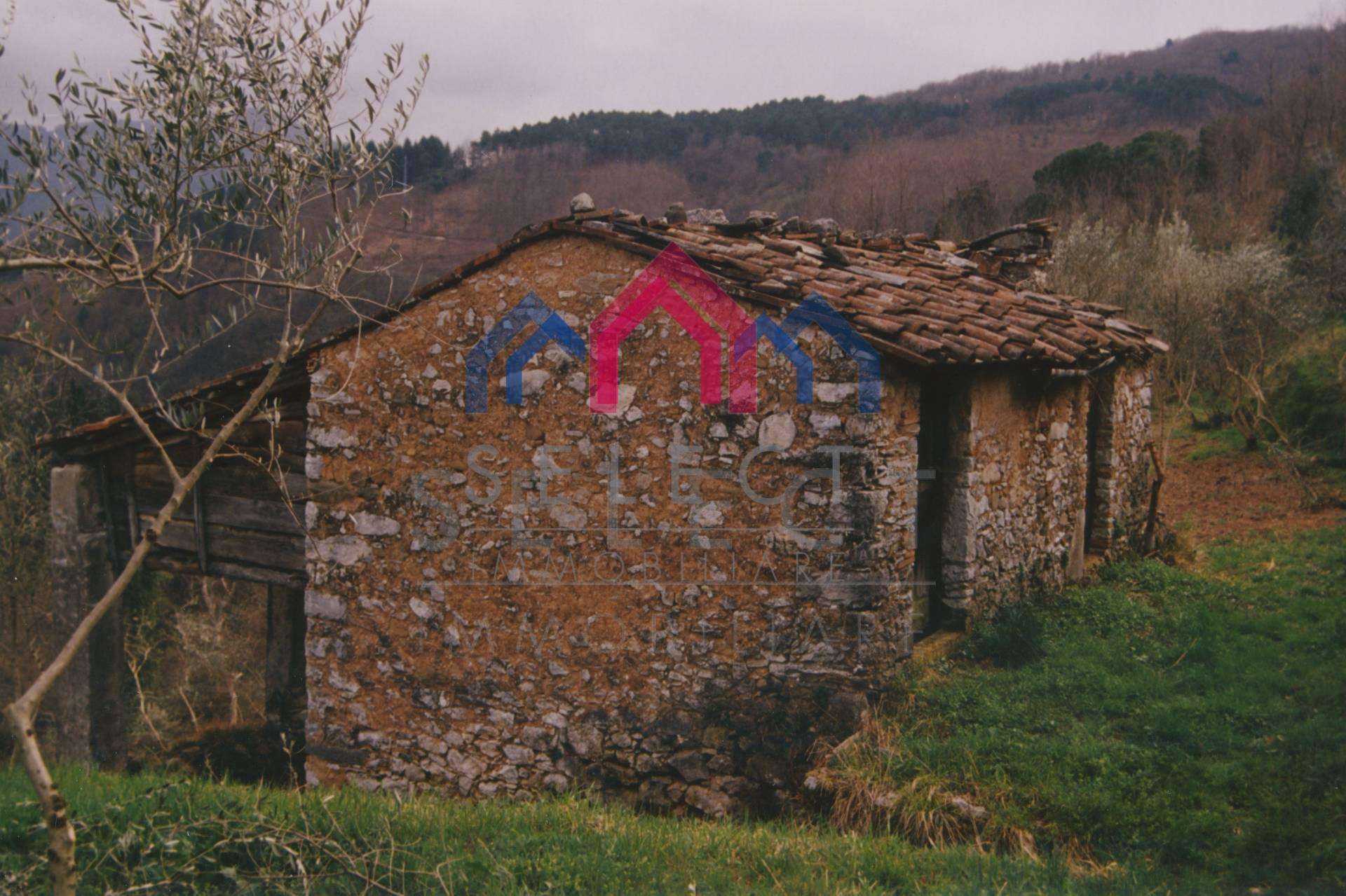  - foto 54