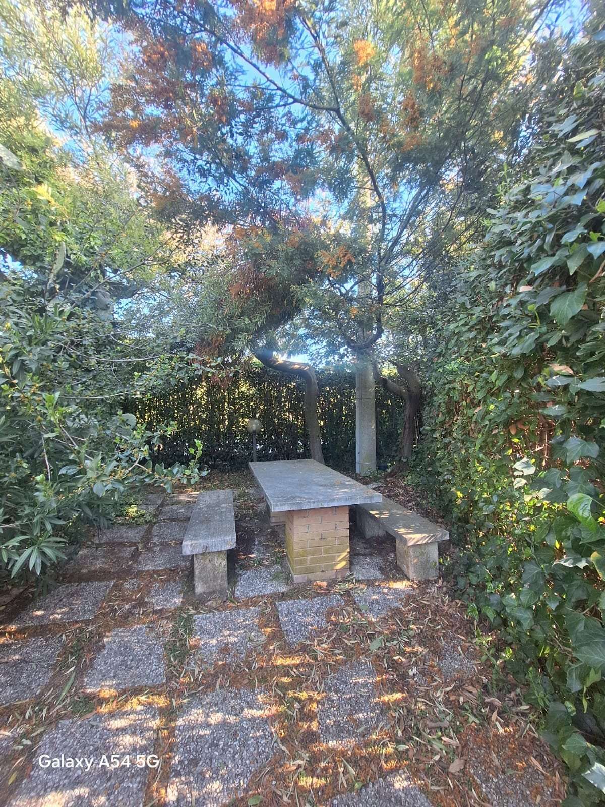  - foto 2