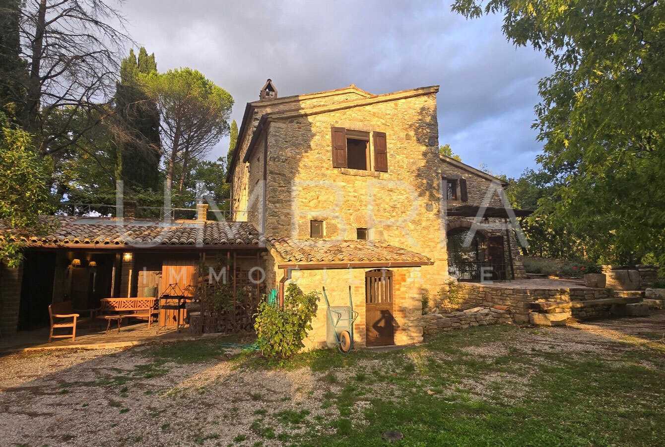  - foto 39