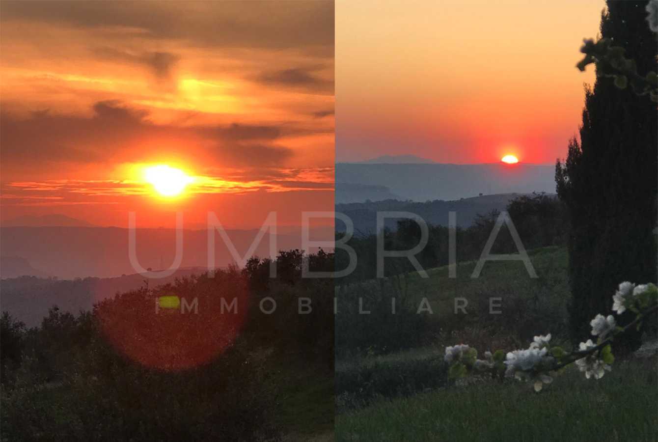  - foto 42