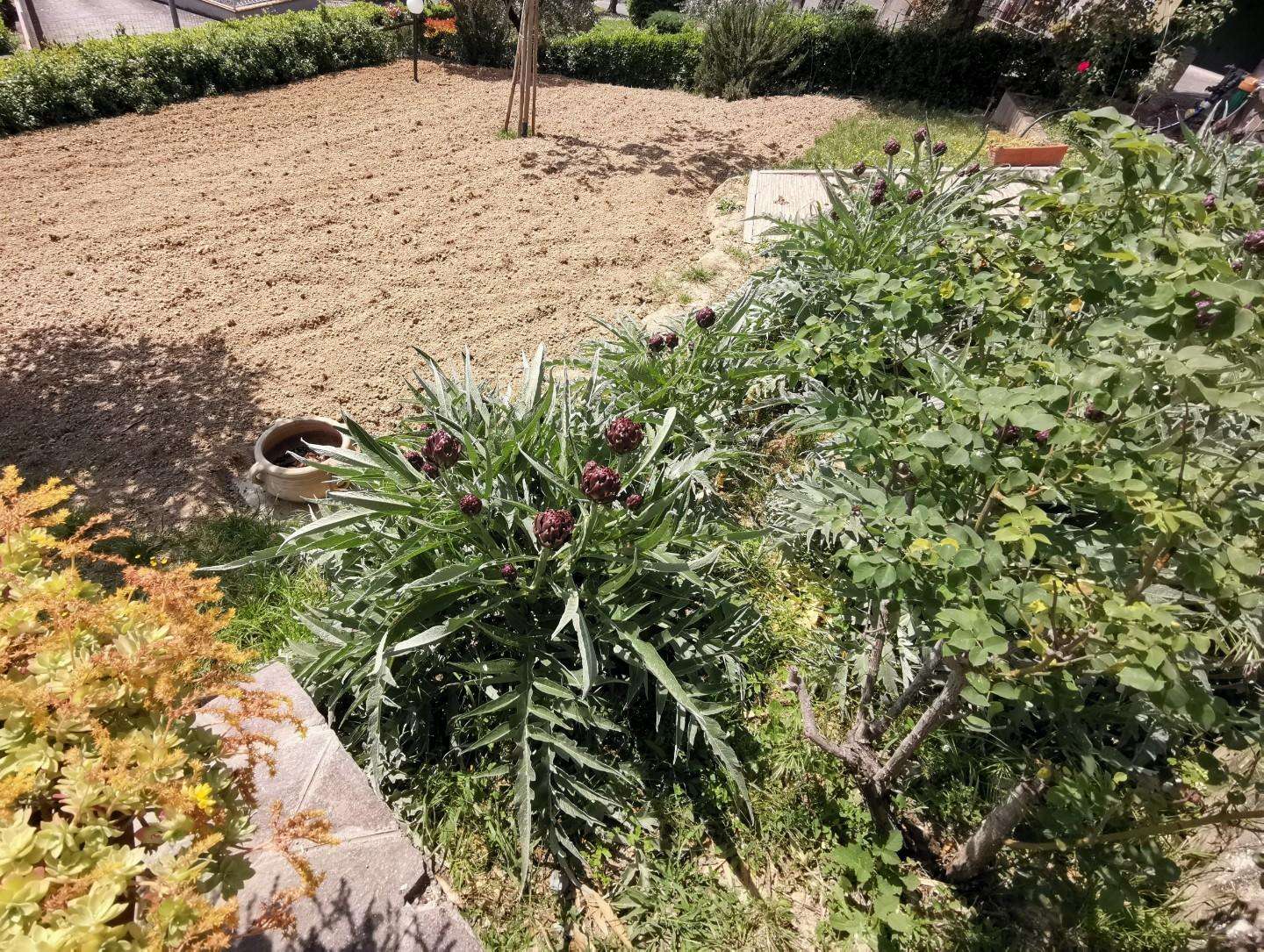  - foto 20