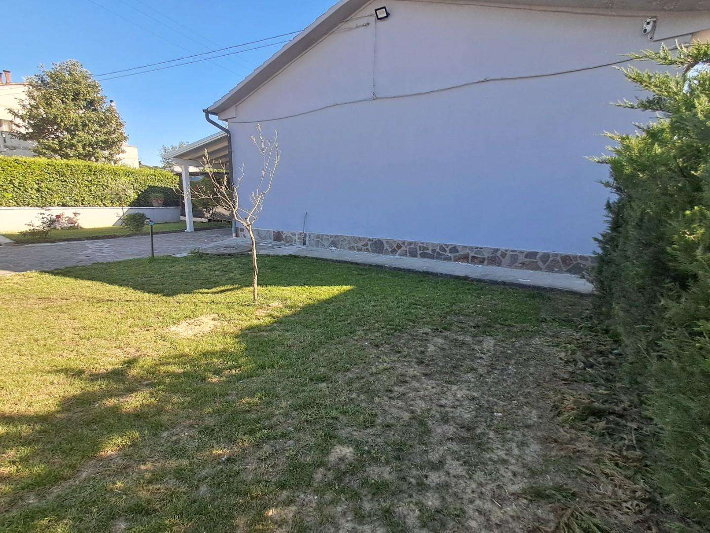  - foto 26