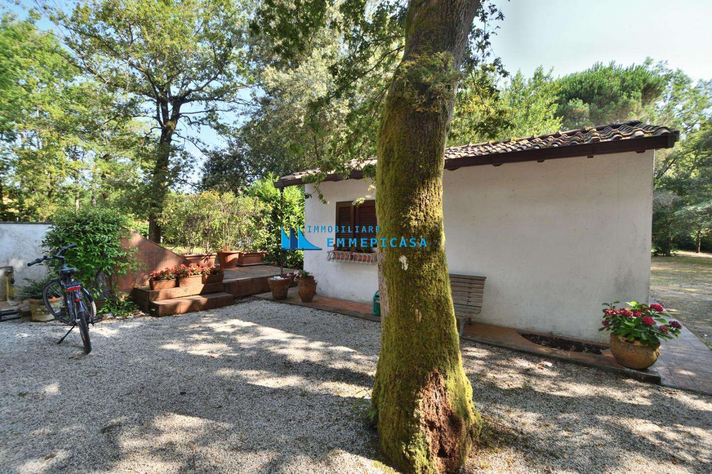  - foto 5