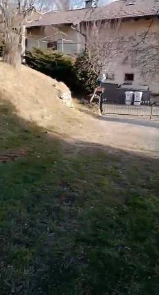  - foto 5