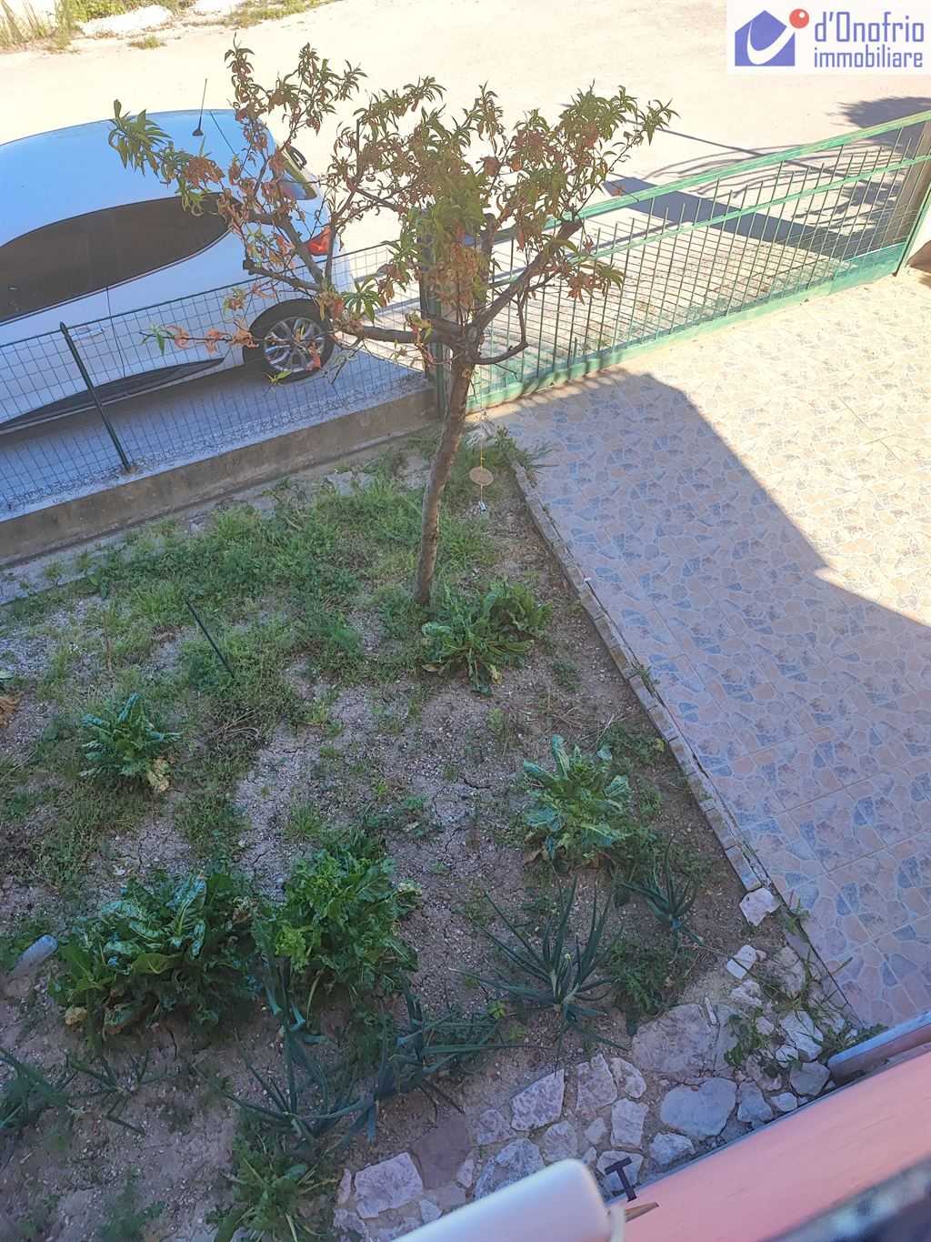 - foto 6