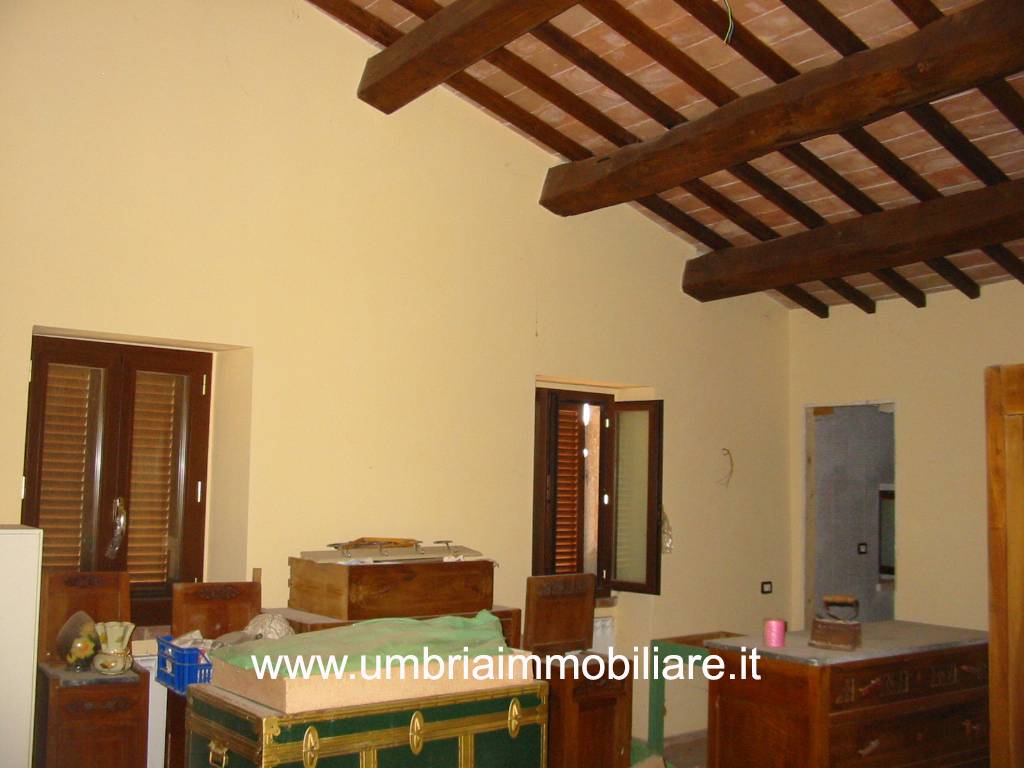  - foto 6